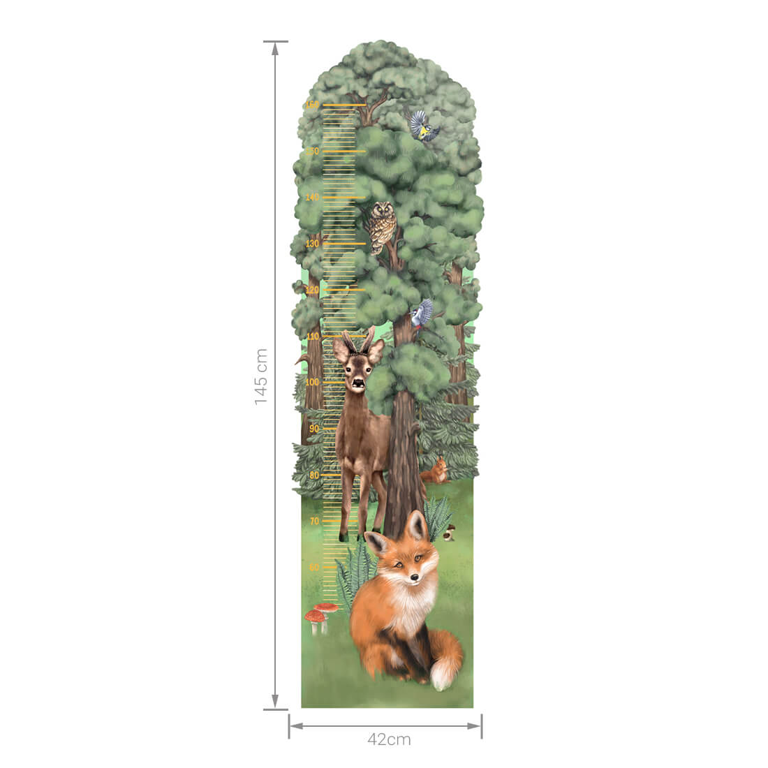 Height Measure | Forest