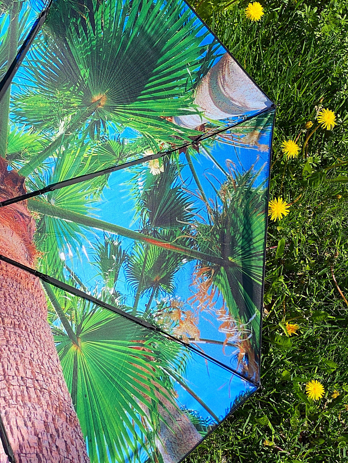 Paradise Umbrella – Windproof & UPF50+