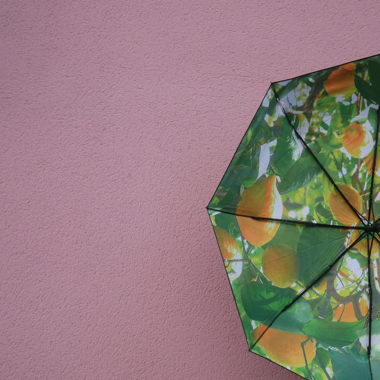 Lemon Umbrella – Windproof & UPF50+