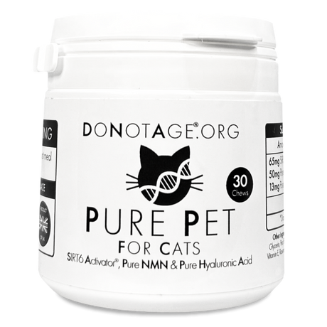 Pure Pet for Cats