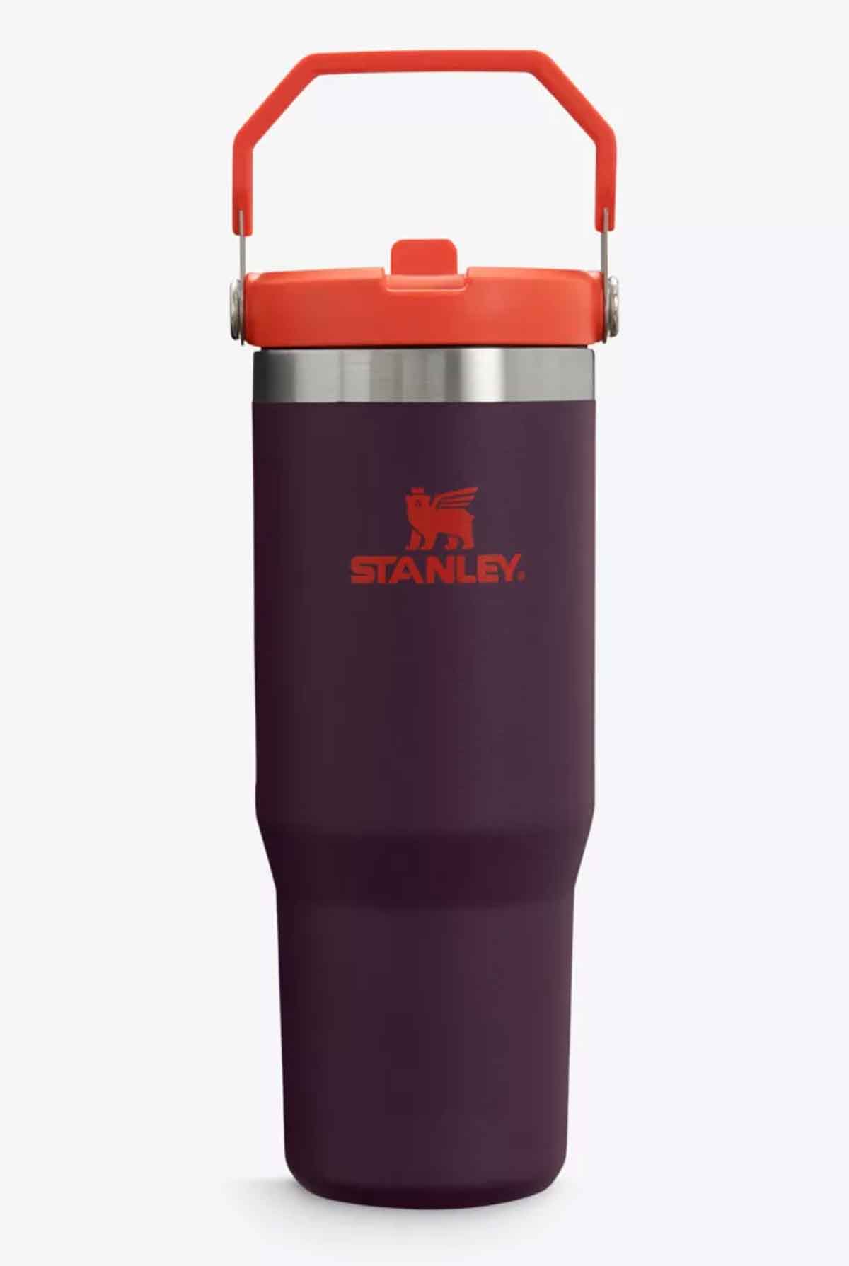 Iceflow™ Flip Straw Tumbler | 0.89L Plum