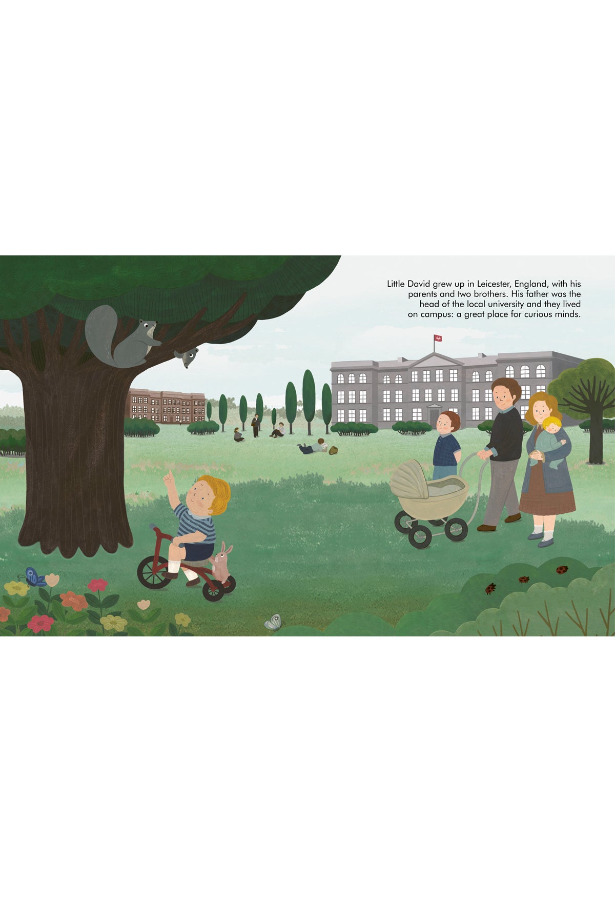 Little People, BIG DREAMS David Attenborough book