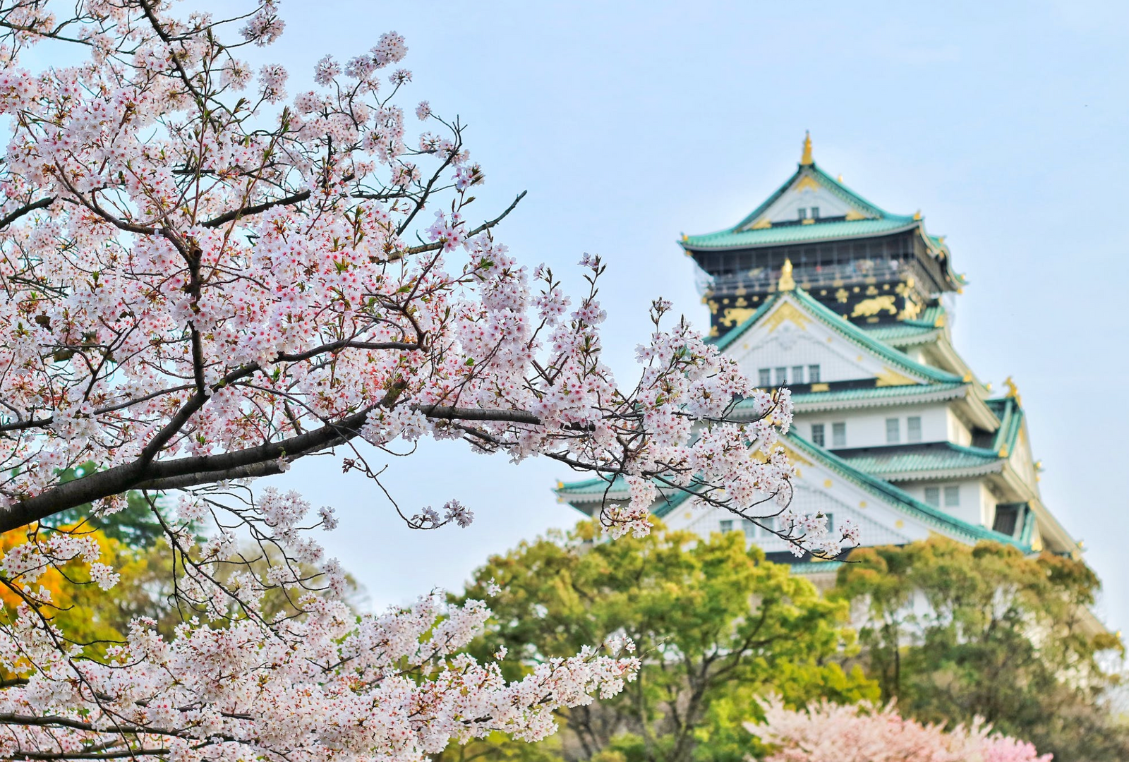 asia health, beauty and wellness