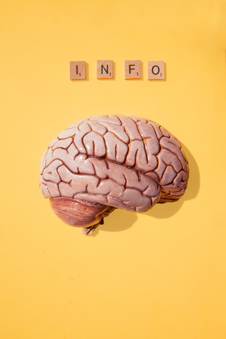 How To Save Your Brain from Cognitive Decline?