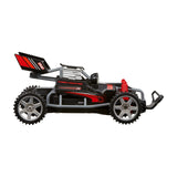 Nikko Race Buggies Turbo Panther RC Car