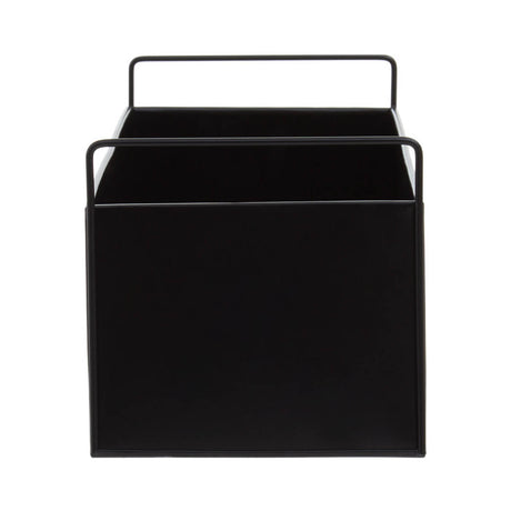 Asher Black Box Large Wall Plant