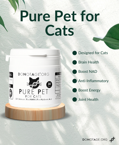 Pure Pet for Cats