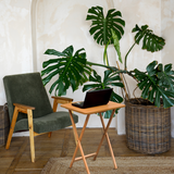 Hava Rubberwood Folding Multi-Use Table for Dining or Work