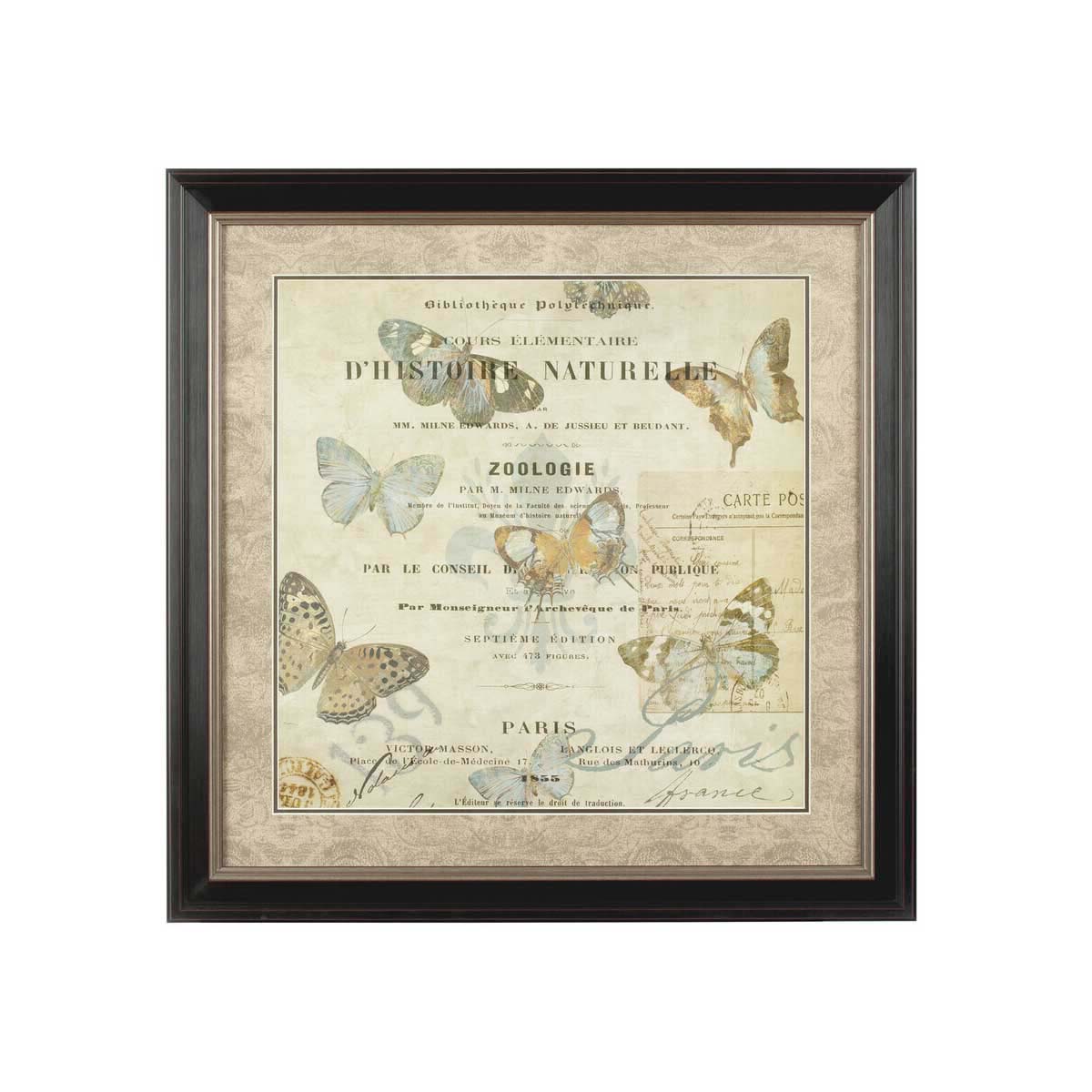 Framed Butterfly 2 Wall Art