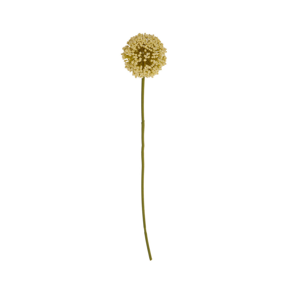 Fiori Artificial flowers Green Allium Stem