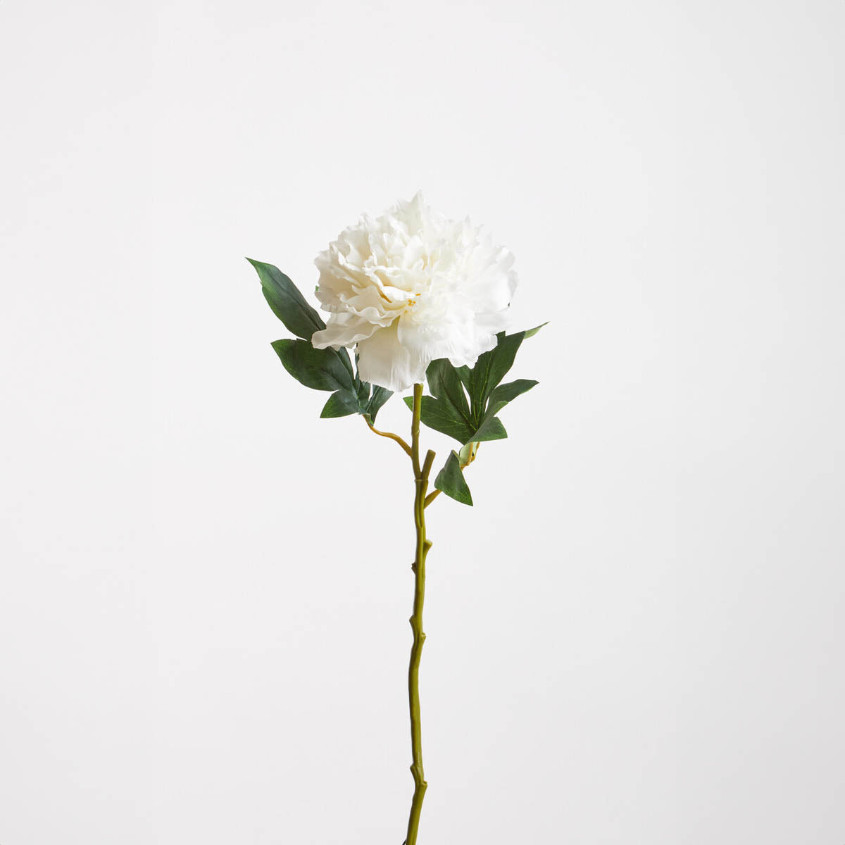 Fiori White Peony Stem