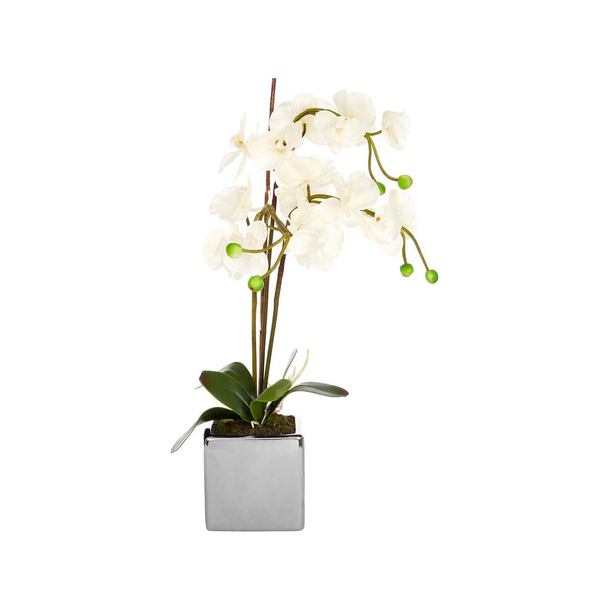 Fiori Artificial flowers White Orchid Plant in Square Pot