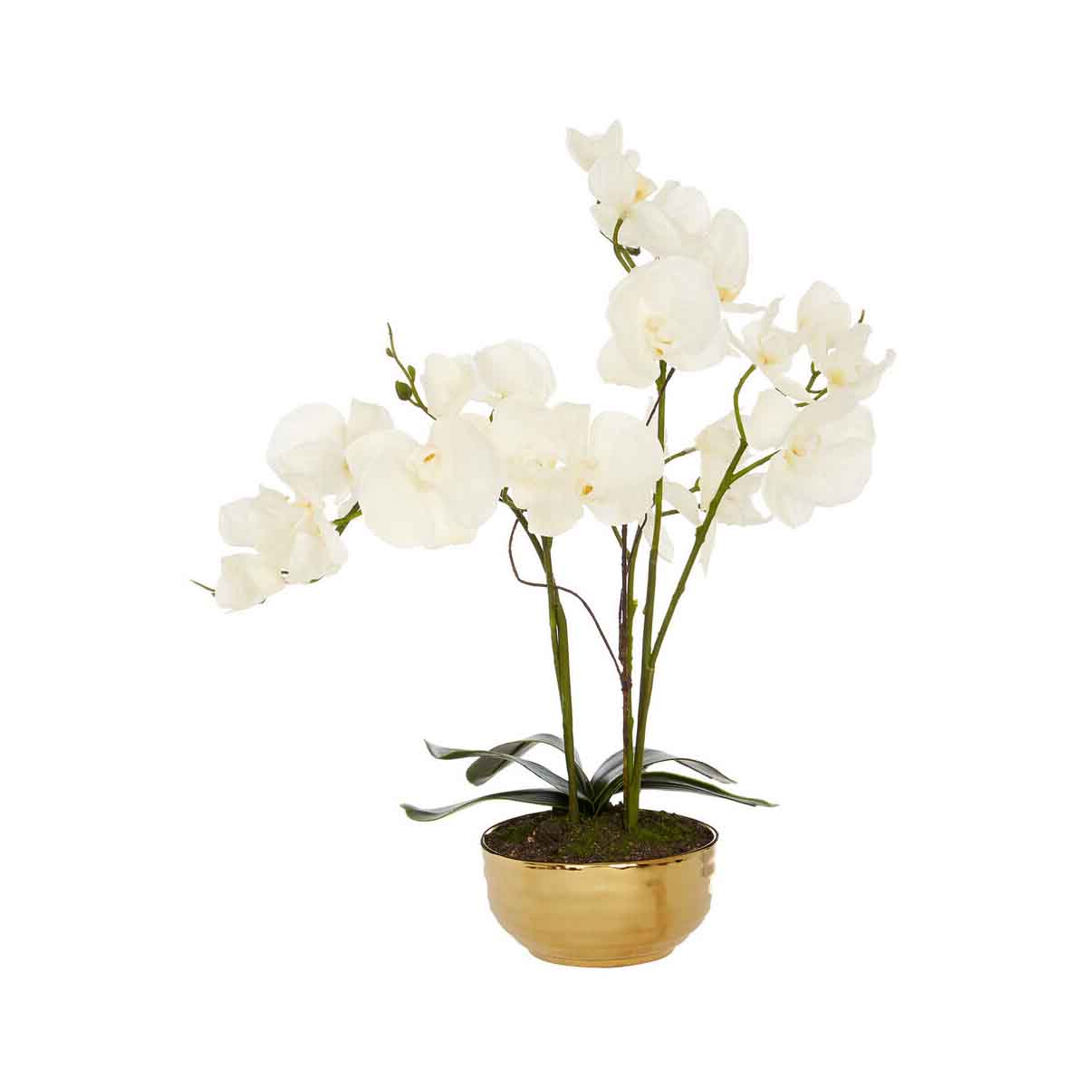 Fiori Artificial flowers White Orchid Plant in Gold Pot