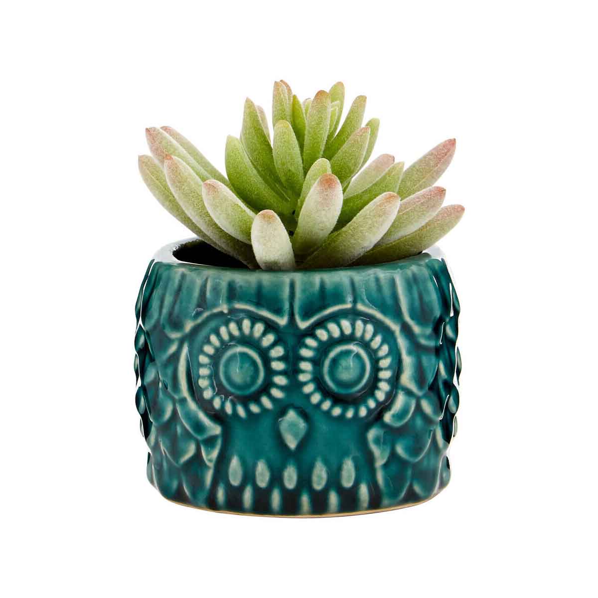Fiori Small Succulent in Ceramic Owl Pot