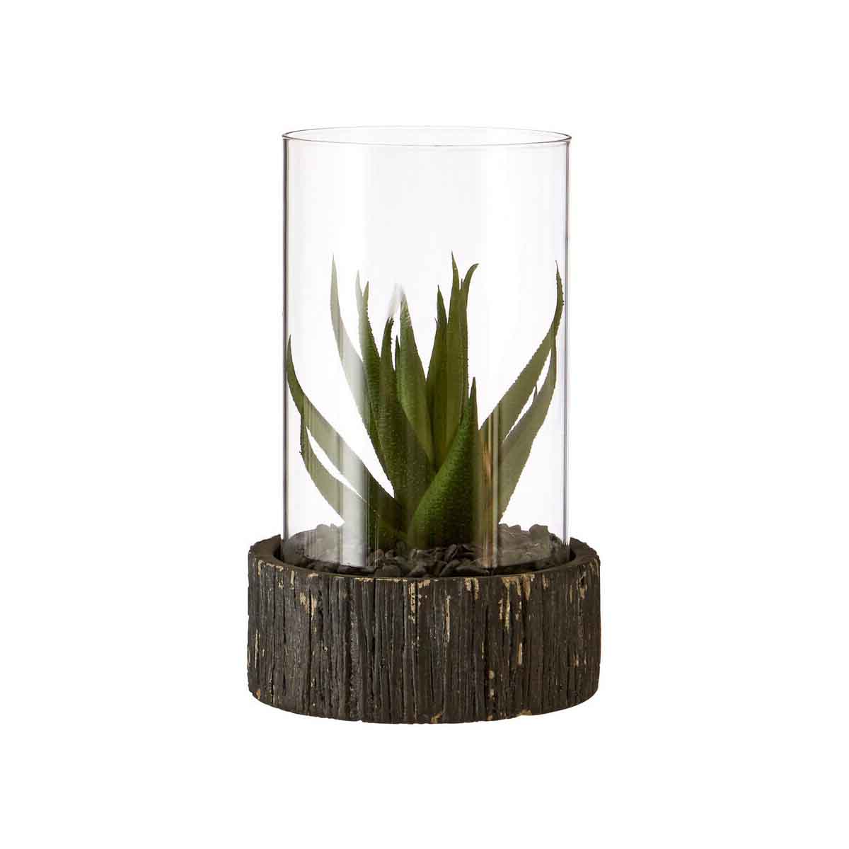 Fiori Small Succulent with Black Stone Base