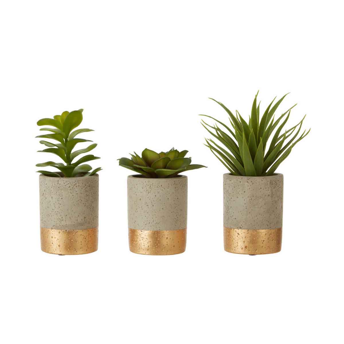 Fiori Set of 3 Grey Pot Succulents