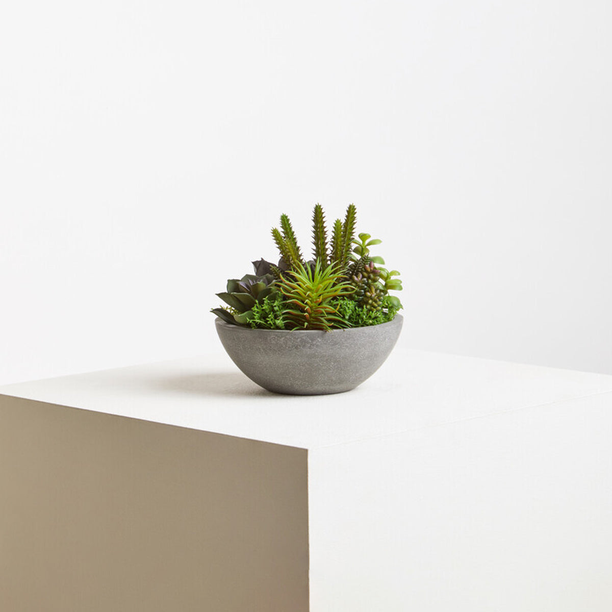 Fiori Mixed Succulent With Stone Effect Pot