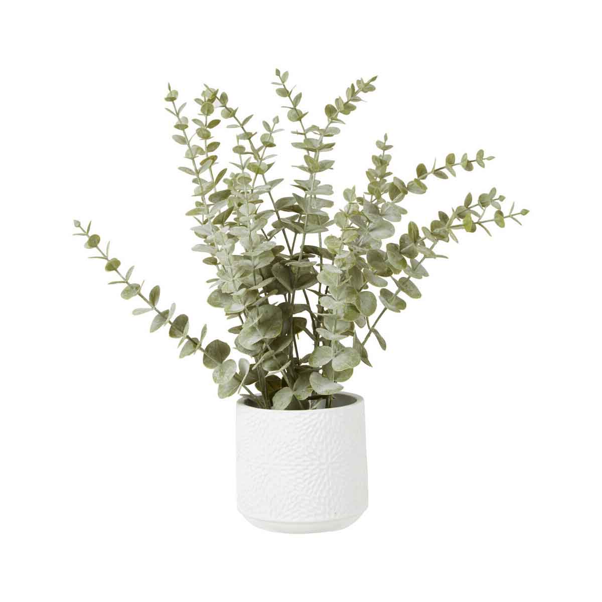 Fiori Eucalyptus with White Pot