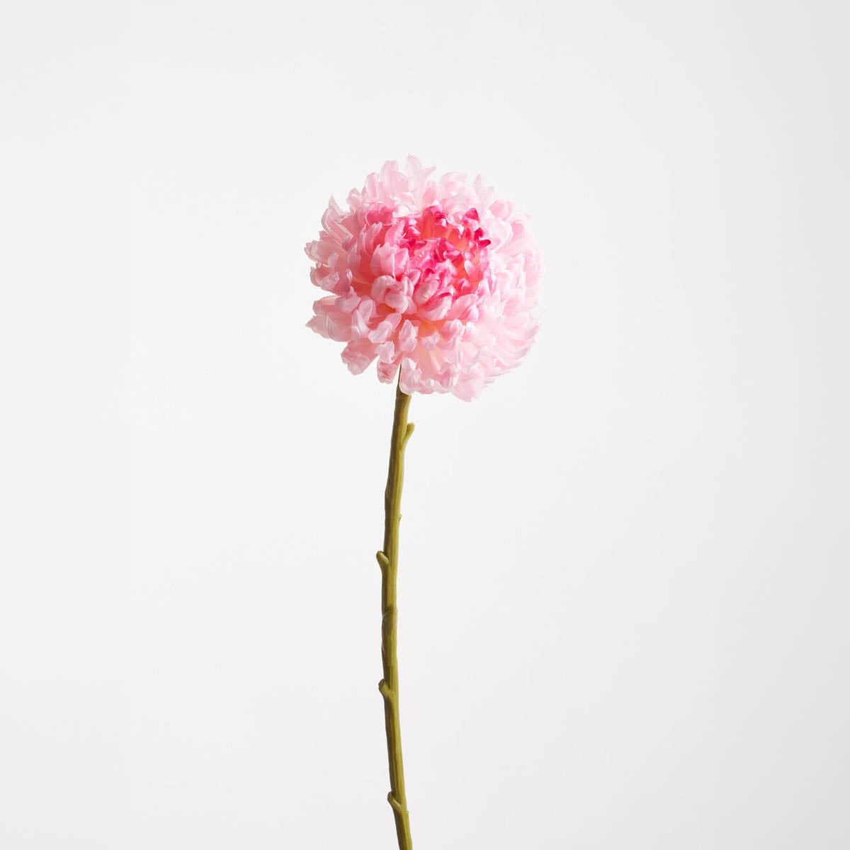 Fiori 84cm Chrysanthemum Pink Stem