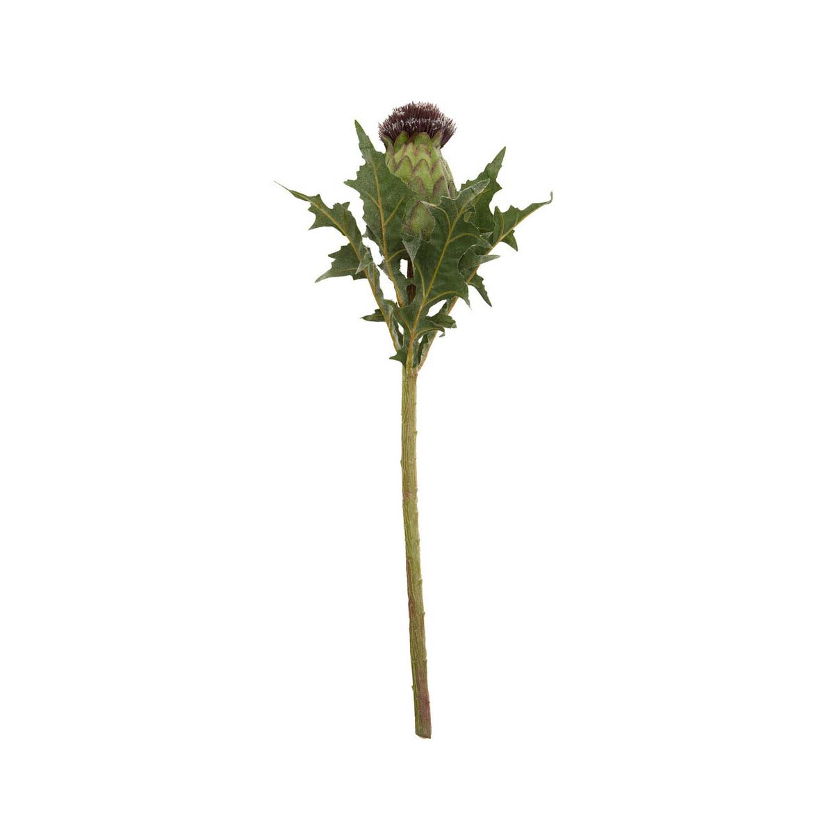 Fiori Artificial flowers 56cm Green And Purple Thistle Stem