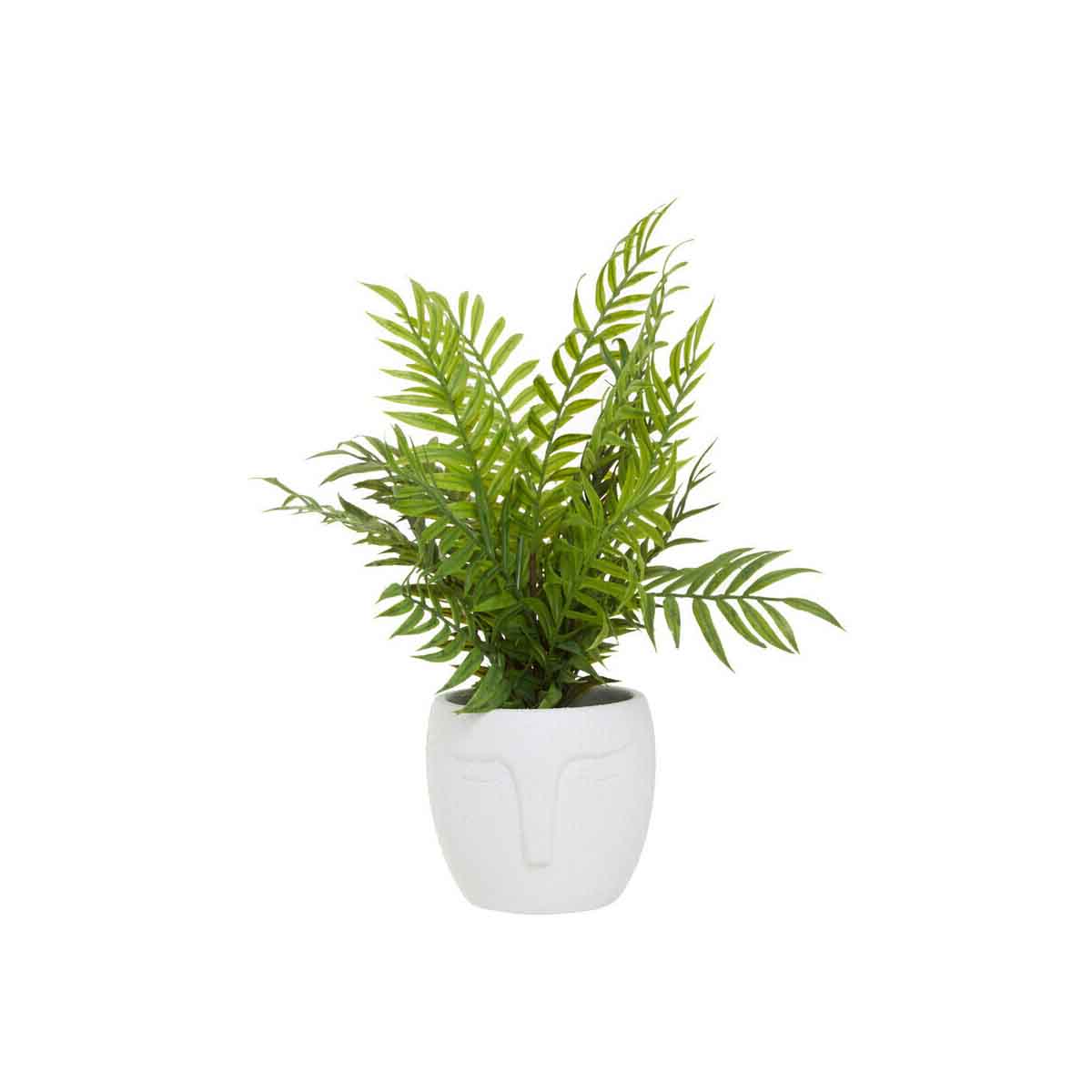 Fiori Fern