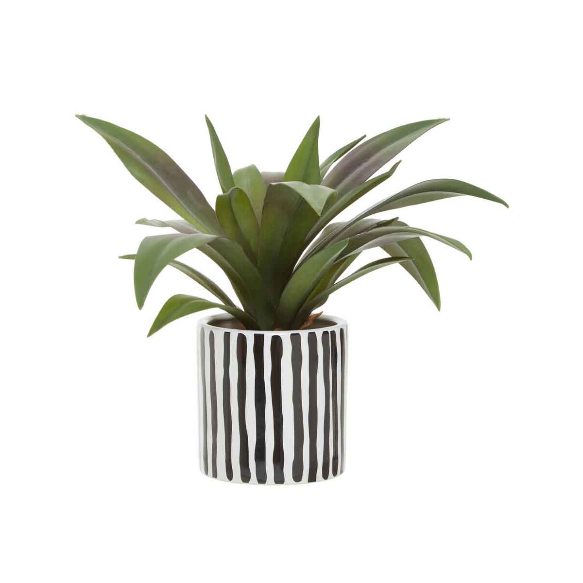 Fiori Agave In Ceramic Pot