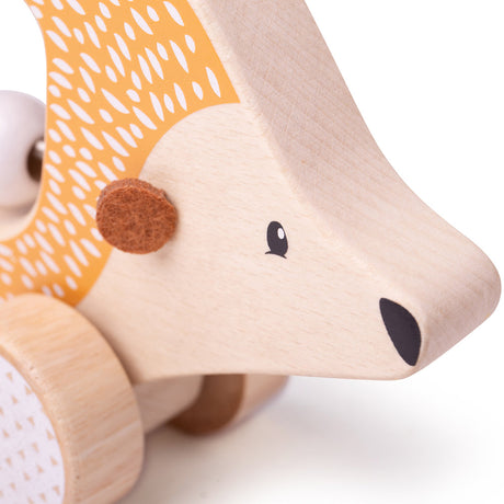 Push Along Hedgehog - FSC® Certified