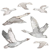 Wall Stickers | Geese