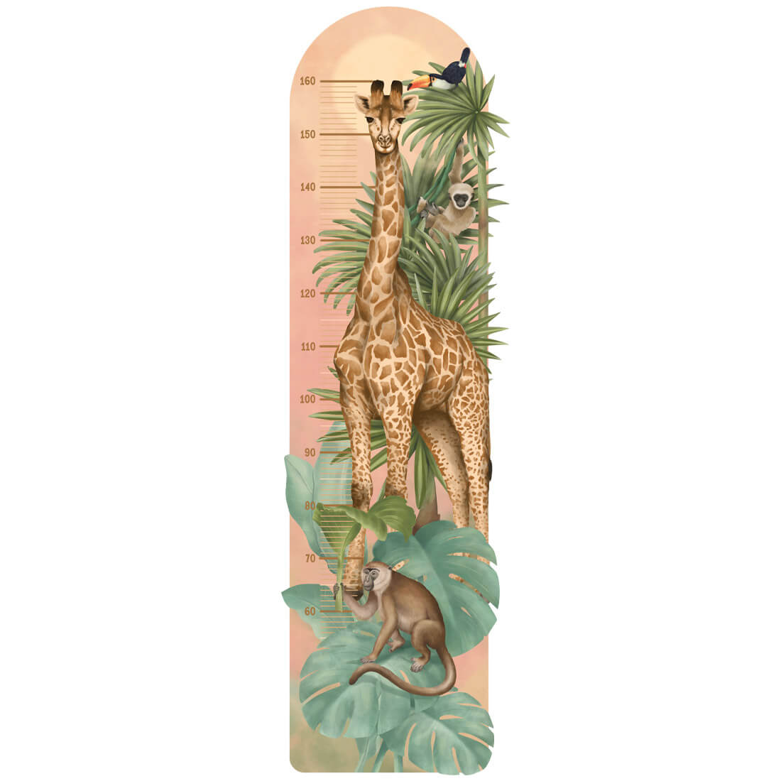 Height Measure | Safari