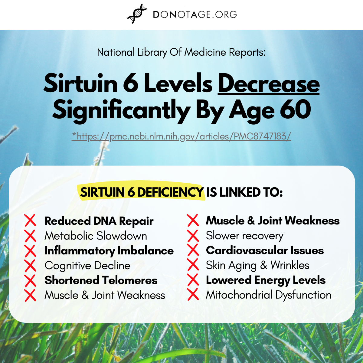 SIRT6 Activator