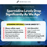 Pure Spermidine