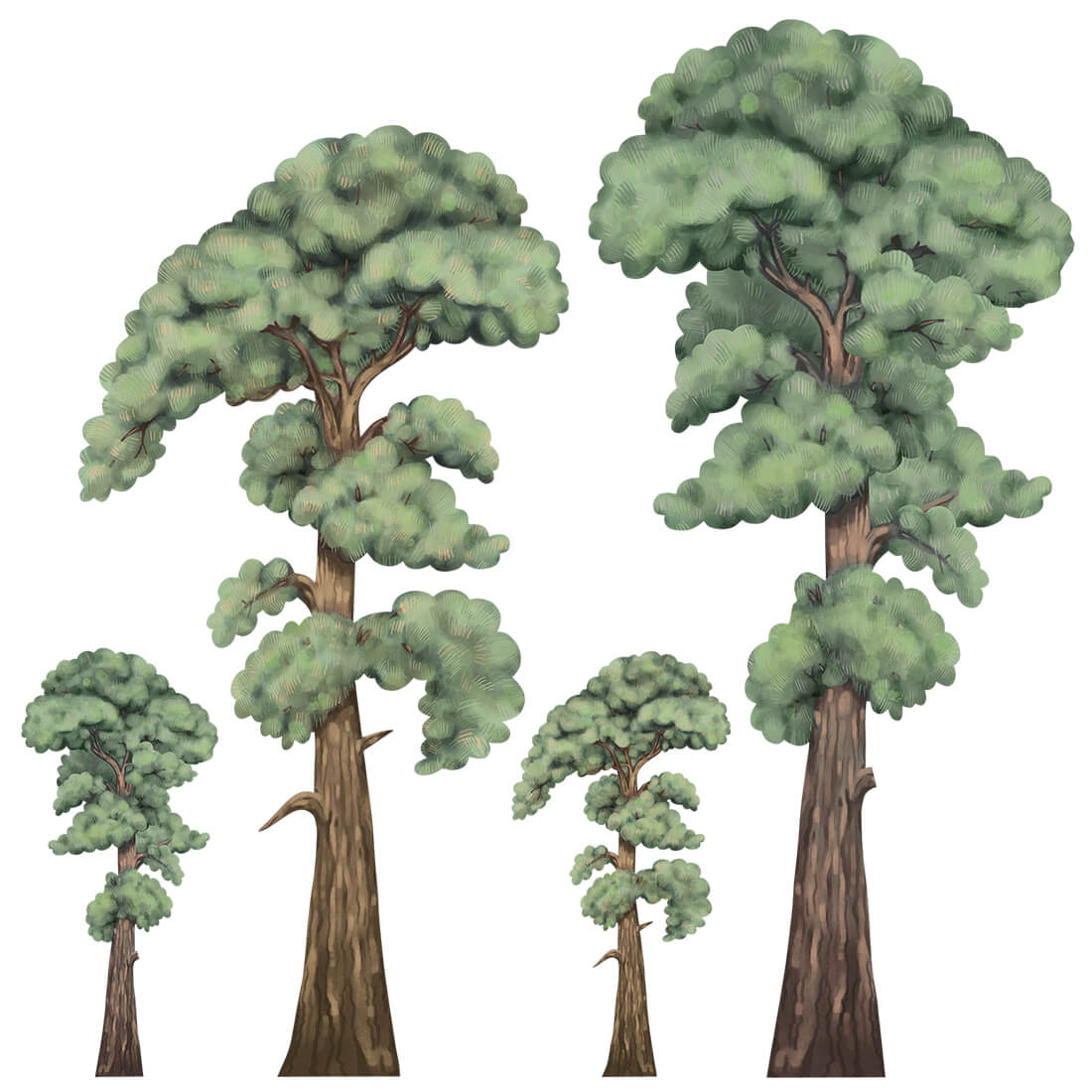 Wall Sticker | Trees