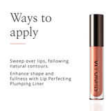 Lip Perfecting 2-in-1 Lip Balm and Gloss