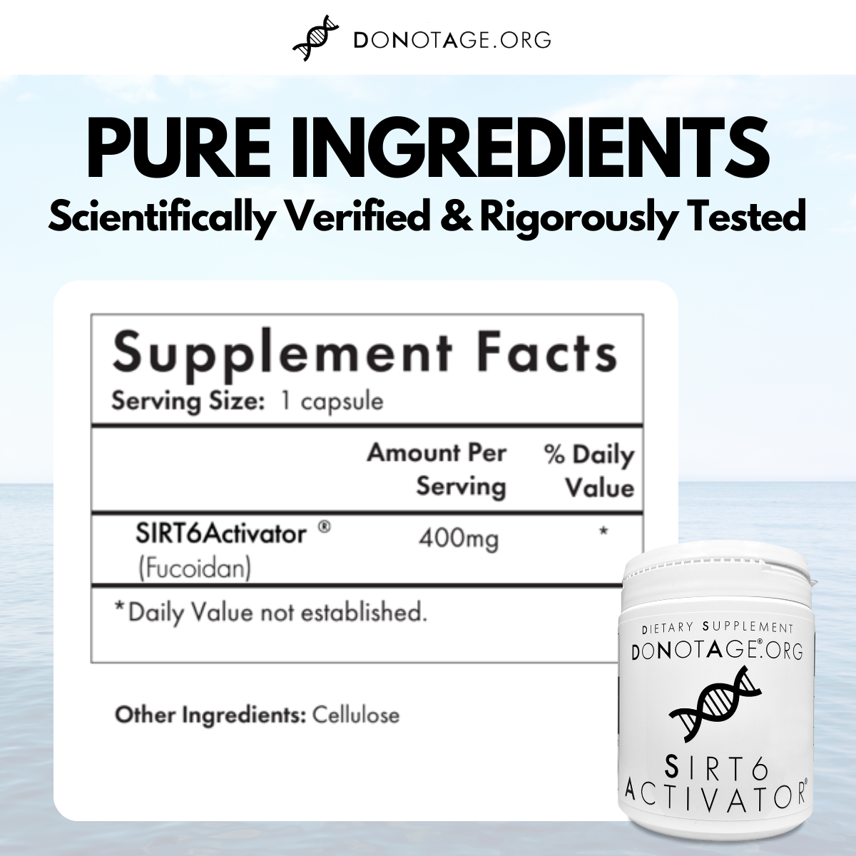 SIRT6 Activator