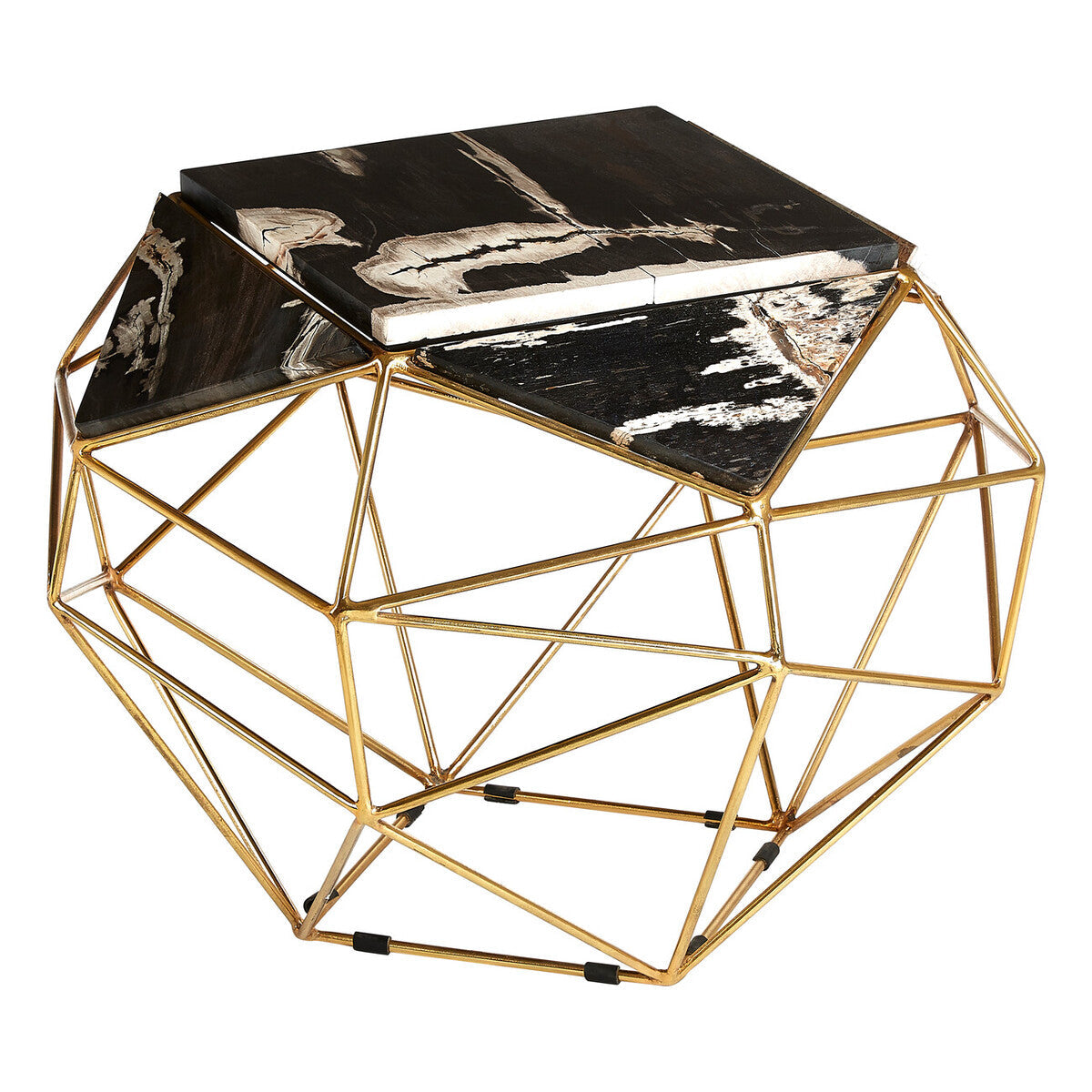 Relic Dark Petrified Wood Side Table