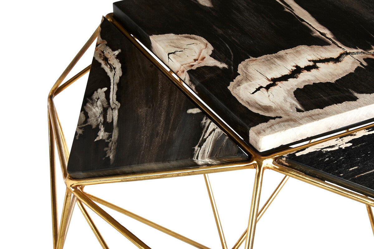 Relic Dark Petrified Wood Side Table
