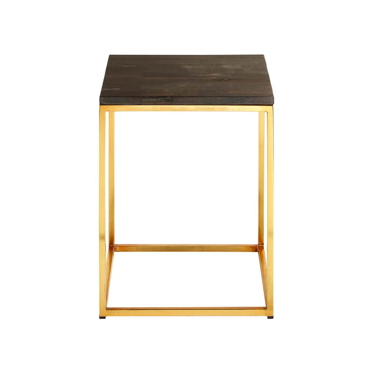 Relic Dark Petrified Wood Square Side Table