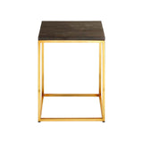 Relic Dark Petrified Wood Square Side Table