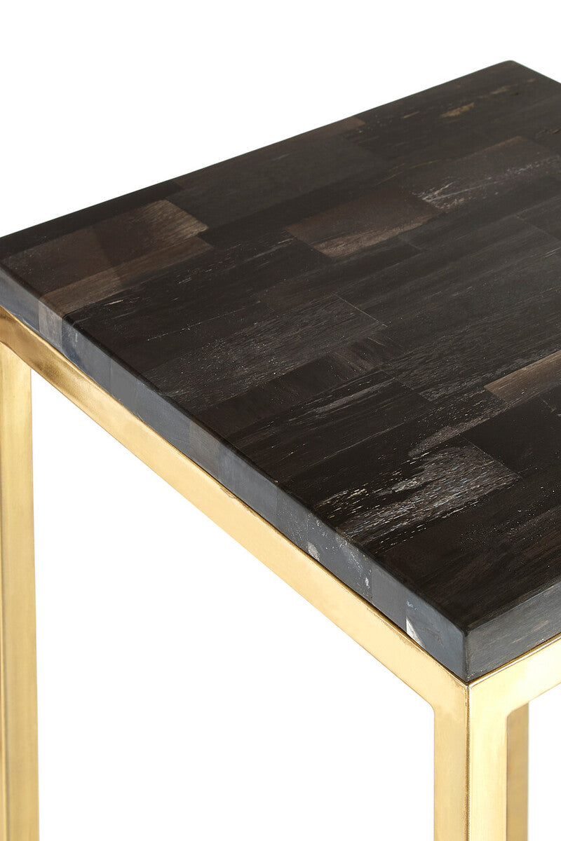 Relic Dark Petrified Wood Pedestal Table