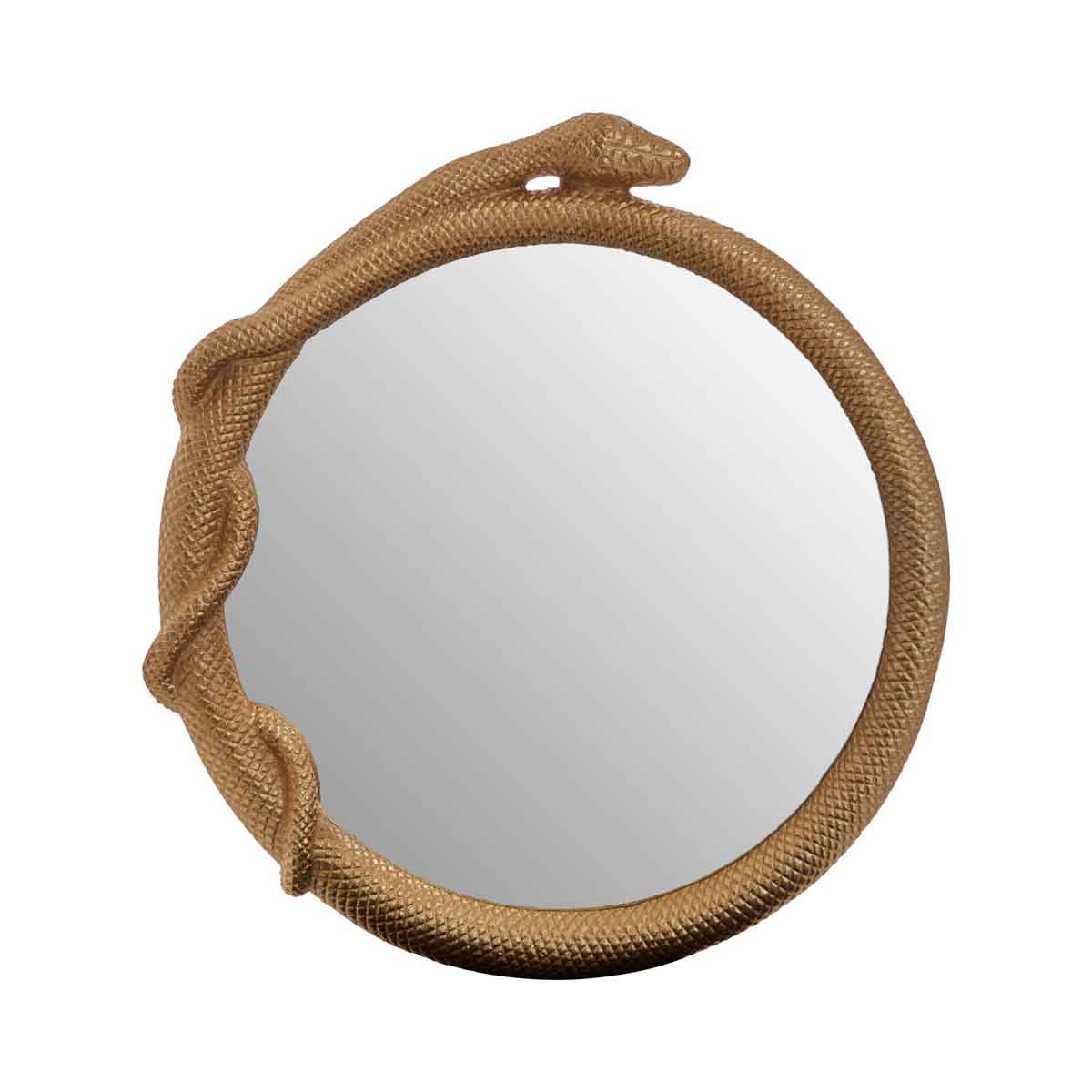 Serpent Wall Mirror