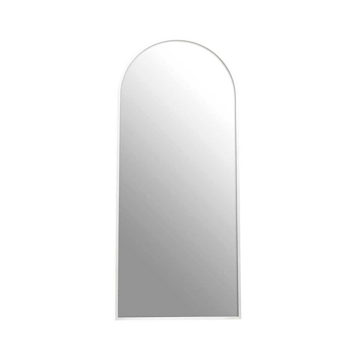 Descartes Silver Finish Wall Mirror