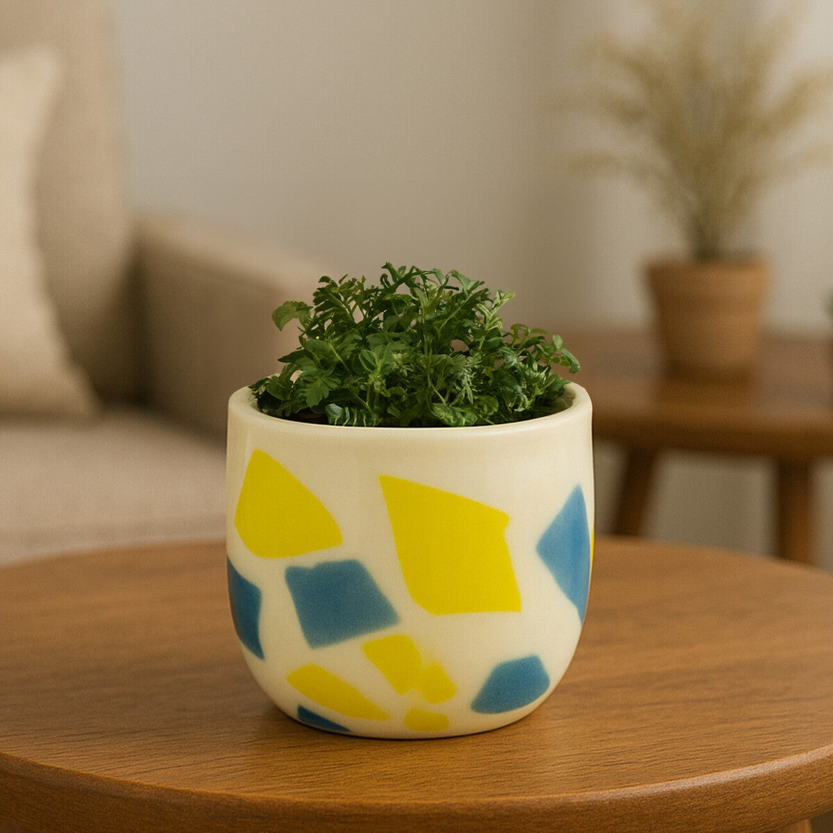Carra Abstract Planter