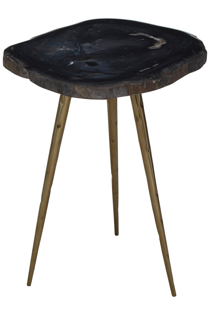 Relic Side Table With Petrified Wood Top and Brass Finish Legs