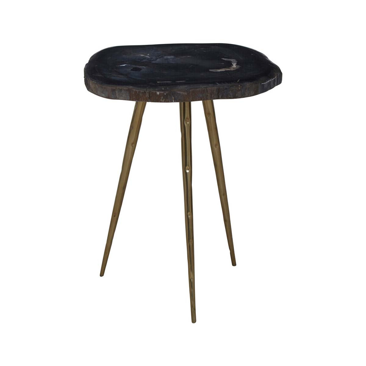 Relic Side Table With Petrified Wood Top and Brass Finish Legs