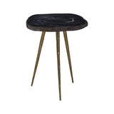 Relic Side Table With Petrified Wood Top and Brass Finish Legs