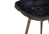 Relic Side Table With Petrified Wood Top and Brass Finish Legs