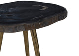 Relic Side Table With Petrified Wood Top and Brass Finish Legs