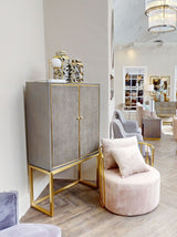 Azalea Mink Velvet Chair With Two Pillows