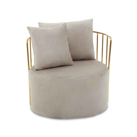 Azalea Mink Velvet Chair With Two Pillows