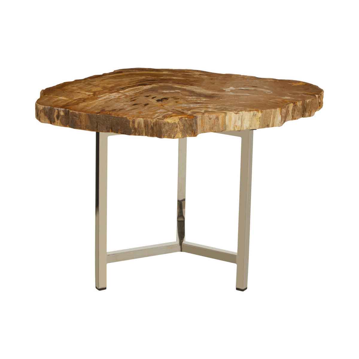 Relic Small Petrified Wood Side Table